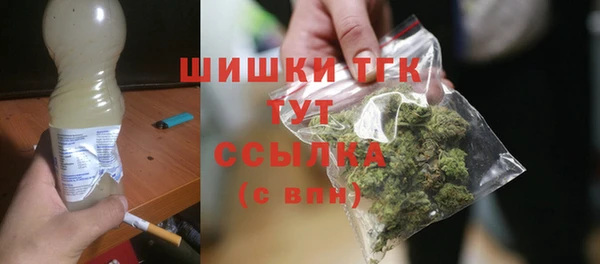 винт Гусиноозёрск